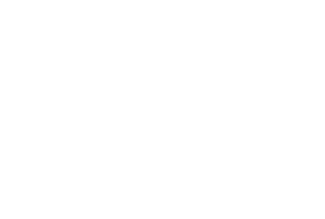 In4Matic logo